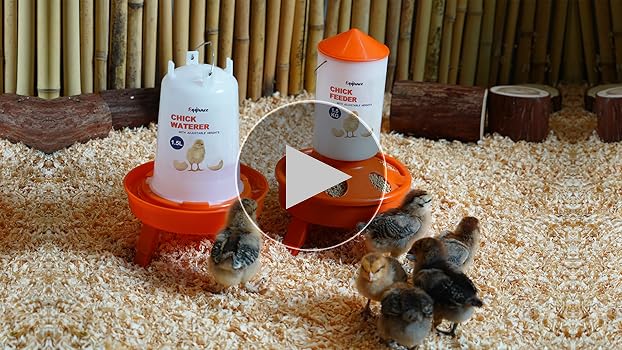 【おまとめ】【Bedtime】【Feeding the chickens】他２点 Amazon.com : Eggluuz Chick Feeder and Waterer Kit, Top Fill